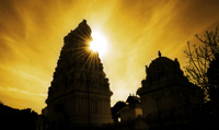 The Science of Yoga image