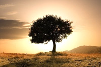 The yoga view of the self is about you